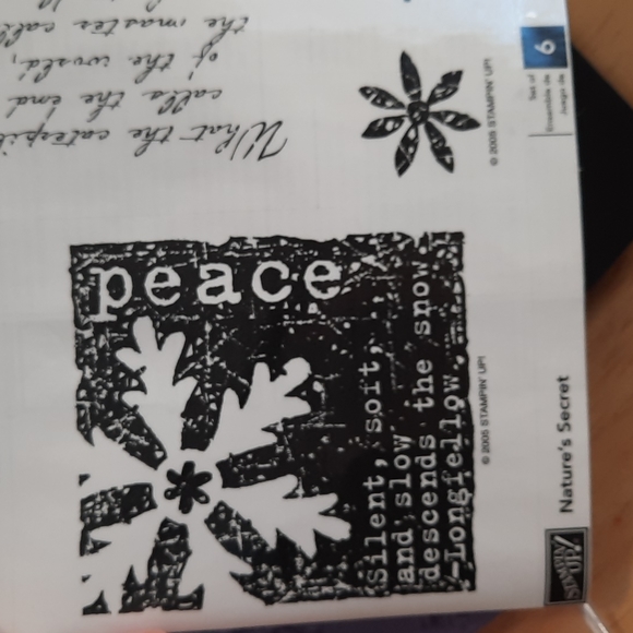 Natures Secret Stampin Up rubber stamp set - Picture 5 of 5